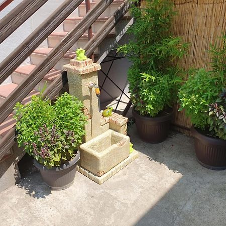Apartman Djokic 2 Požarevac Exteriör bild