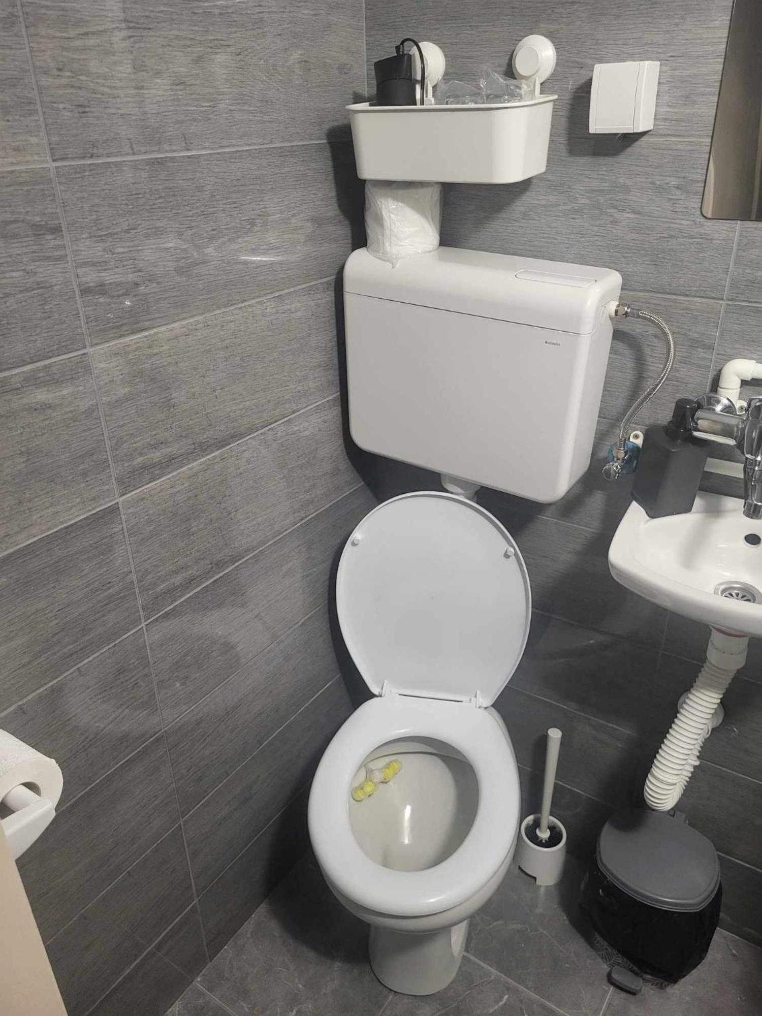 Apartman Djokic 2 Požarevac Exteriör bild